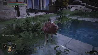 Elden Ring death cam glitch