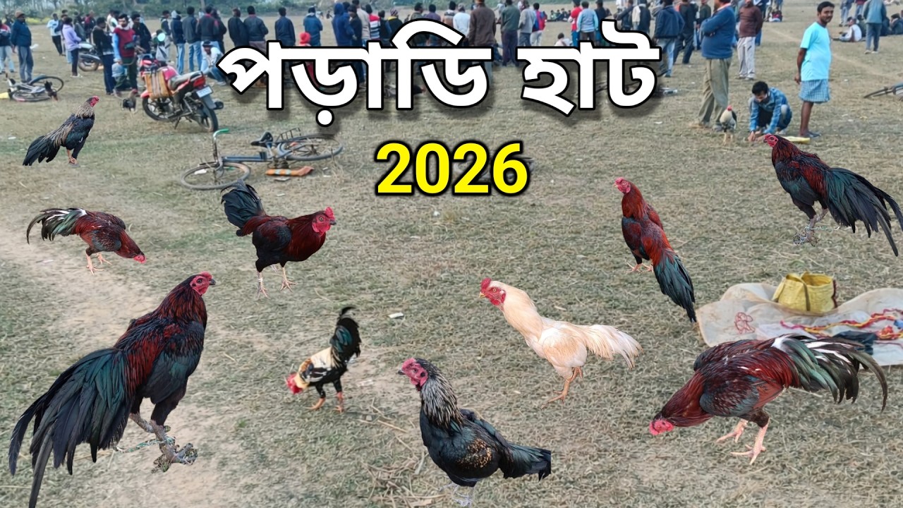 বাঁকুড়া জেলার বিখ্যাত হাট || পড়াডি হাট (Poradhi Haat) 2026 🐓 @khokapetsvlog