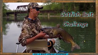 Cut Bait VS Kool-Aid Chicken Catfish Bait Challenge