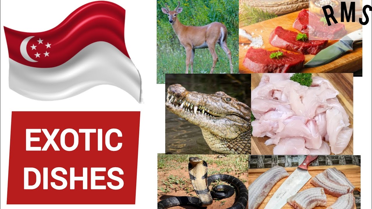 Exotic Meats of Singapore 🇸🇬 | Deer, Crocodile & Snake Dishes | RMS Bearing
