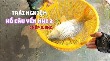 AT Fishing | Tập 69 - Lần đầu trải nghiệm hồ câu Yến Nhi 2 tại Bình Chánh. Cũng có tí cảm giác