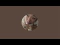 しごおわ→Uberおわ→ルネッサンス晩酌🥰😻笑