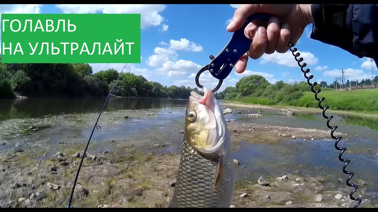 Ловля голавля и жереха на ультралайт спиннинг