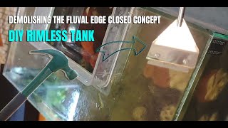 DIY Rimless Shrimp Aquarium - Fluval Edge Modification