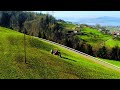 Faszinierender Film: Drohnenaufnahmen von einem Aebi TT 55 mit einem überraschenden Ende