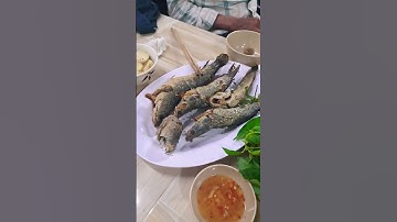 hết chim rồi tới cá lóc chiên xù