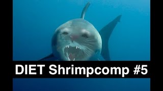 Thurston's DIET Shrimpcomp #5 (Just Cat Clips, No Frills) by Thurston Waffles 26,586 views 4 years ago 4 minutes, 38 seconds