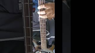 Muse- Bilss (bass cover)