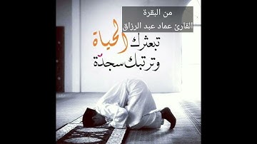 من البقرة /القارئ عماد عبد الرزاق