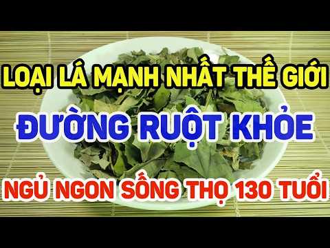 Loại lá mạnh nhất thế giới giúp đường ruột khỏe, ngủ ngon sống thọ 130 tuổi