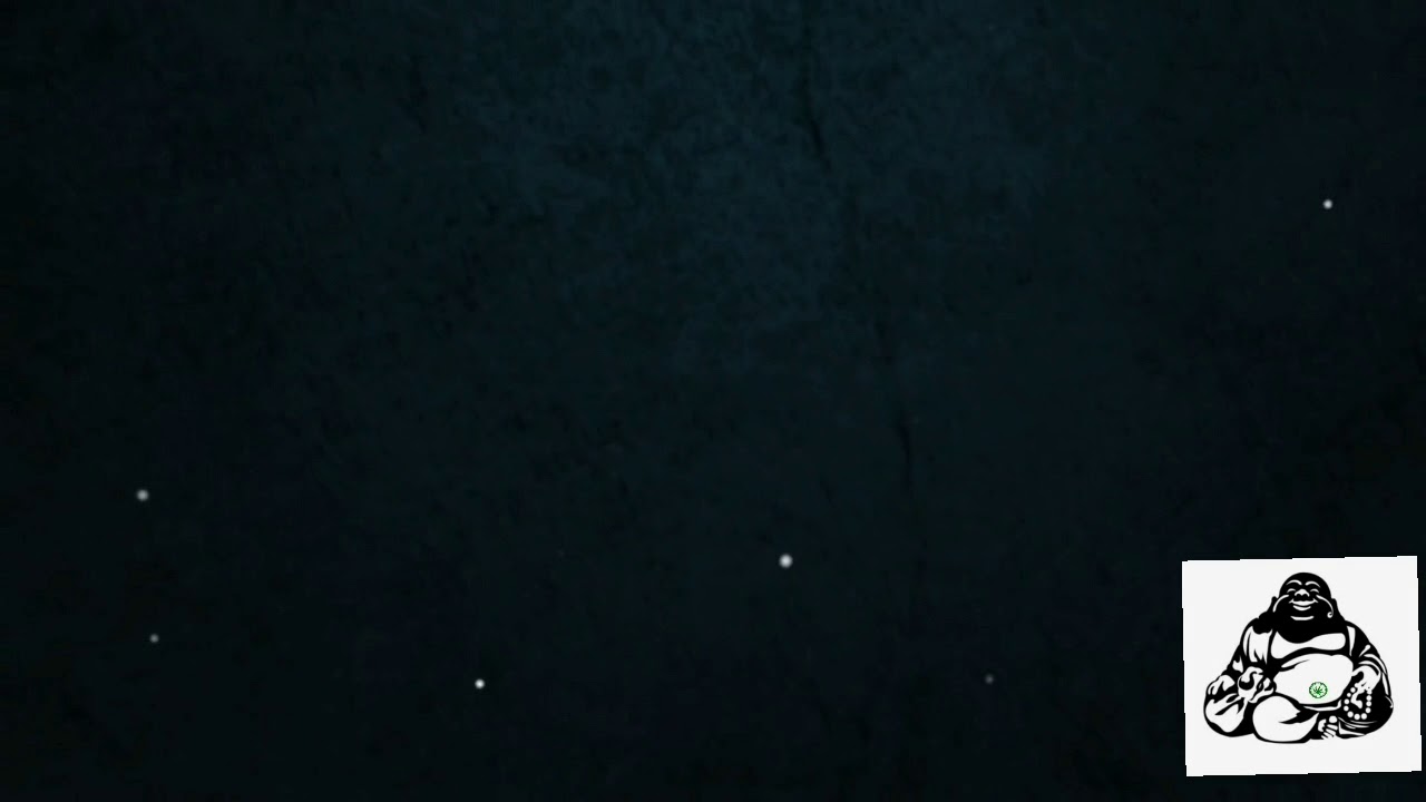 Purple Kush Grow 4 weeks into flowering