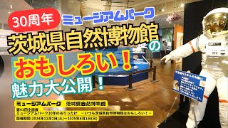 【標本ナビ】＃茨城県自然博物館　「ミュージアムパーク30 年のありったけ」を取材！　＃博物館　＃標本　＃企画展　#絶滅危惧種 　＃ヤンバルクイナ