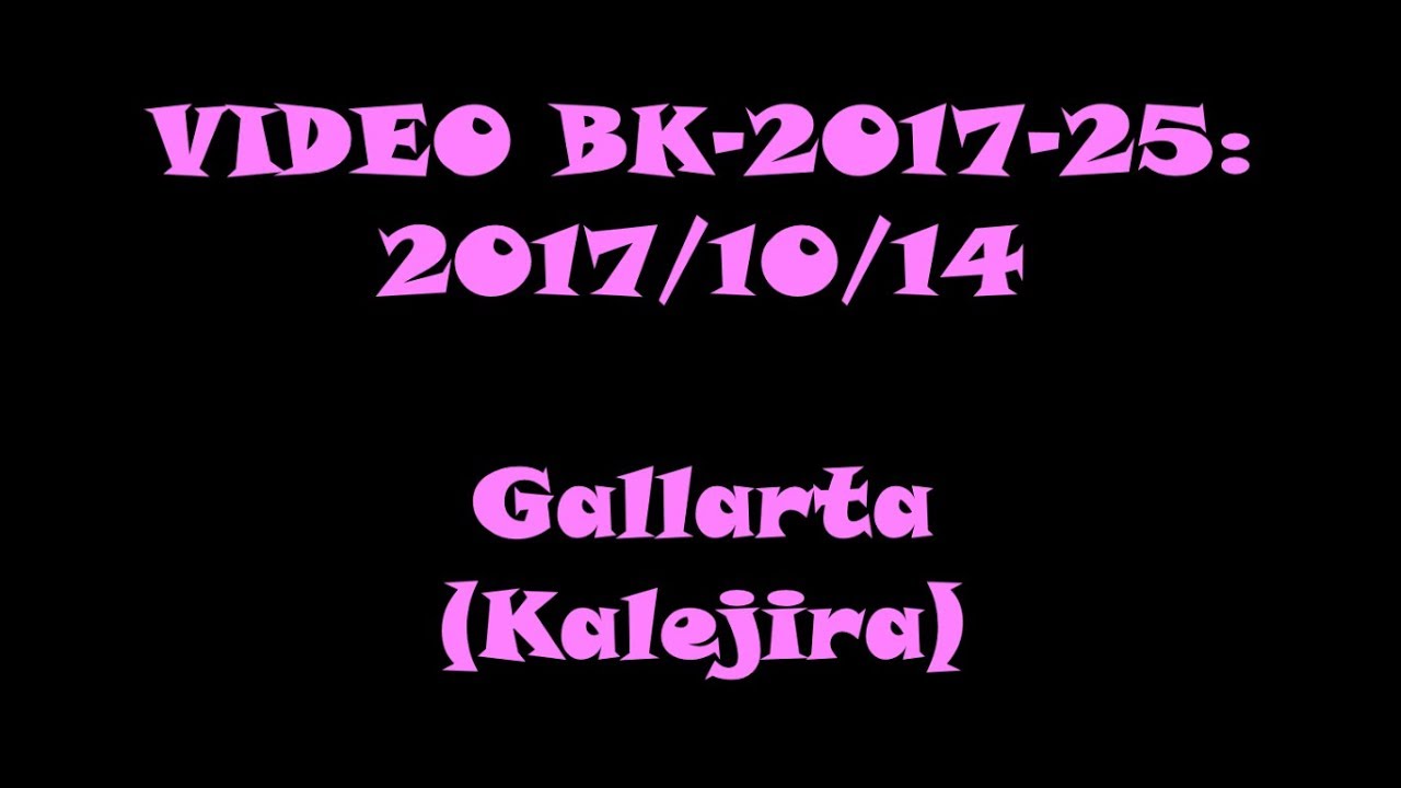 BIHOTZA Konpartsa | 2017/10/14 | Erraldoi Dantzariak (Kalejira) | Gallarta