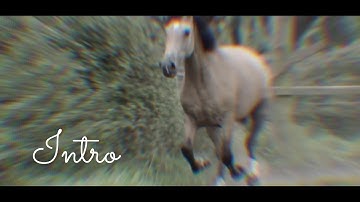 Multifandom MEP OPEN