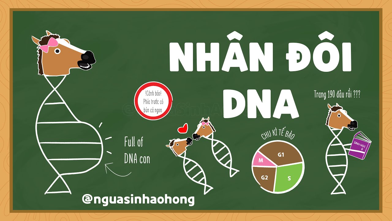 NHÂN ĐÔI DNA | Ngựa Sinh Áo Hồng (Chương 1- Tập 2)