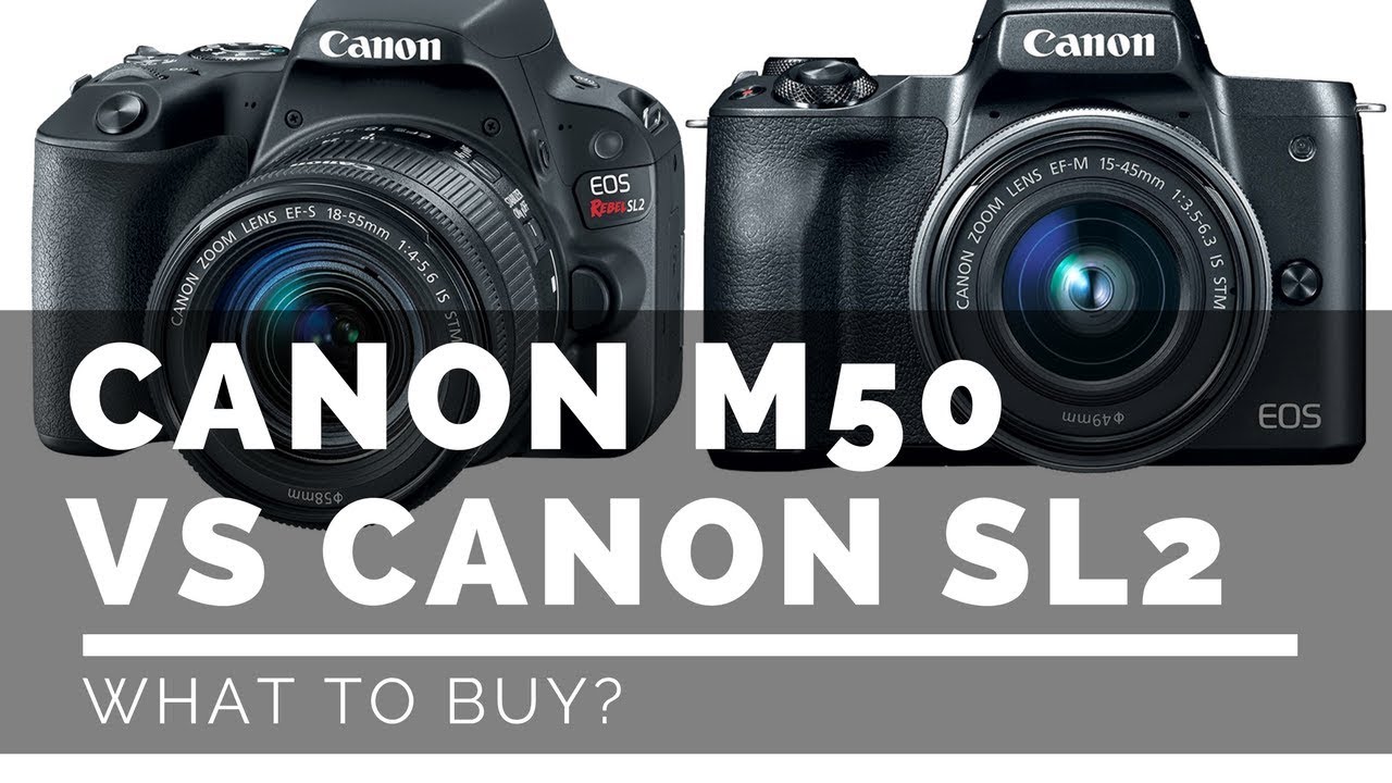 canon m50 vs canon sl2 what should i buy youtube