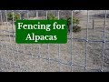 Fencing for Alpacas