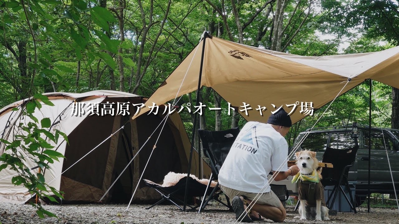 【犬とキャンプ】過ぎゆく夏 高原で風を感じるキャンプ