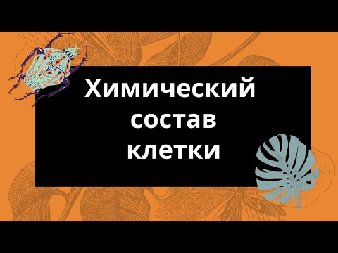 Химический состав клетки