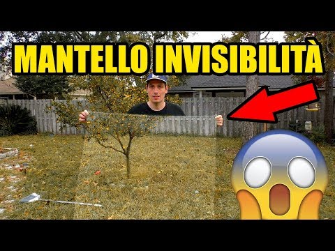 Video: Mantello Dell'invisibilità