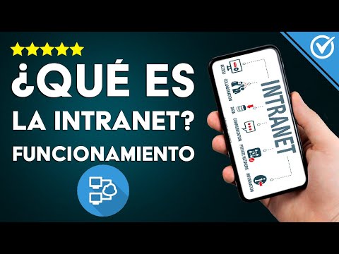 ¿Qué es Intranet? ¿Cuáles son sus Características y Cómo Funciona? Ejemplos de Redes Intranet