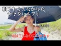 【月刊猫セゾ】8月編 ~VEGAVEGAな夏~