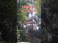 福良八幡神社 #Shorts