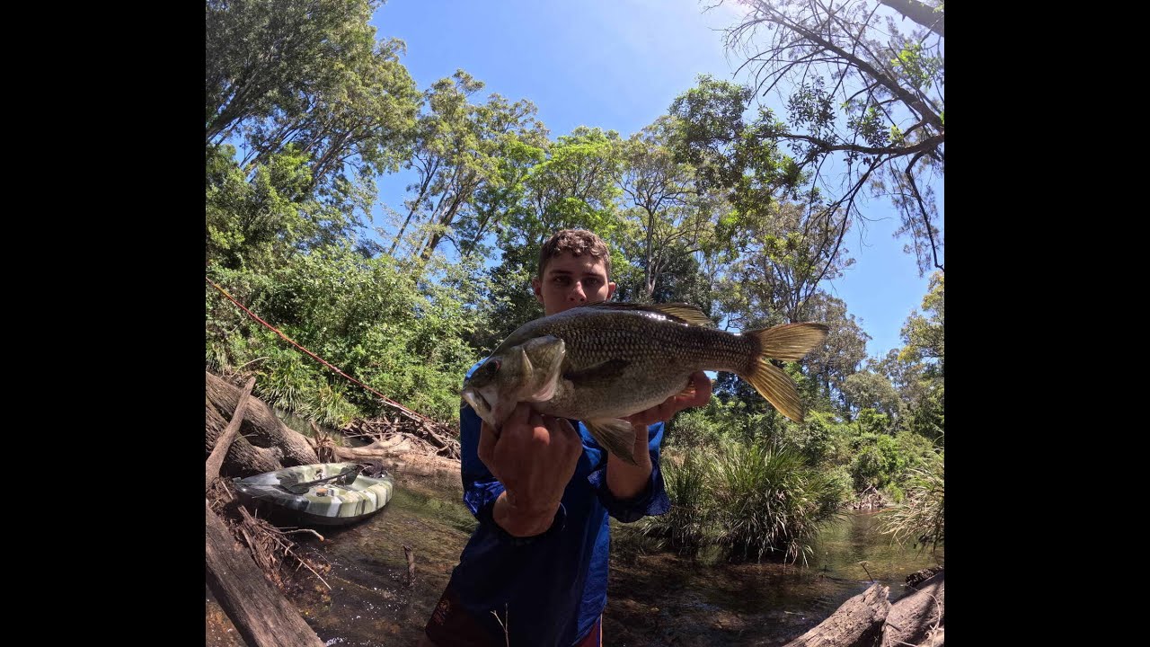 Skinny water mid north coast bass fishing insane clear water hookups.