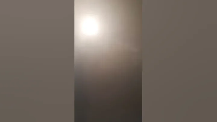 6 December 2019