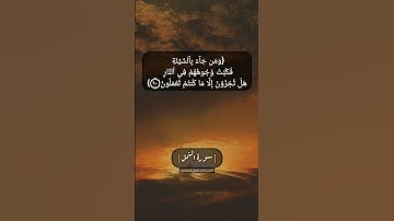 سورة النمل الآية ٨٩ و ٩٠ بصوت الشيخ محمد صديق المنشاوي