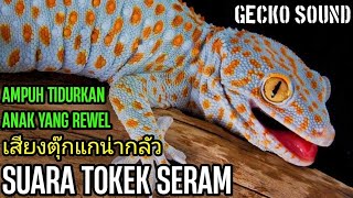 SUARA TOKEK SERAM, เสียงตุ๊กแกน่ากลัว, SUARA TOKEK PENGANTAR TIDUR, GECKO SOUND