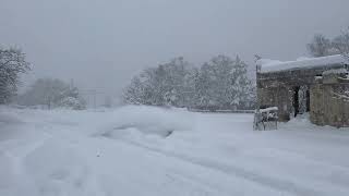 Car Crashes Straight Into Deep Snow