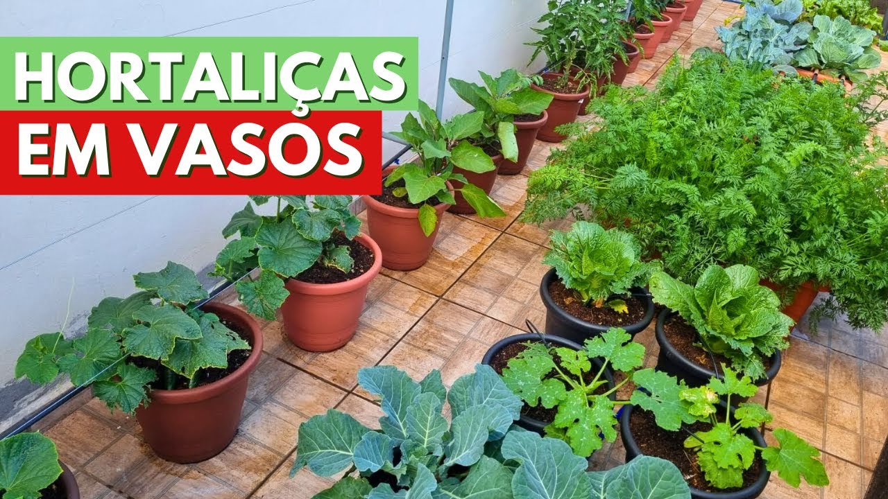 TUDO O QUE CULTIVO NA MINHA HORTA EM VASOS! DICAS NO CULTIVO DE HORTALIÇAS! CANAL MEU QUINTAL