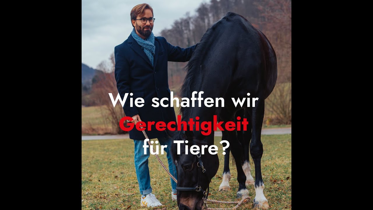 Wie schaffen wir Gerechtigkeit für Tiere?