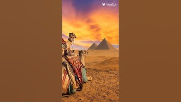 آيات القرآن الكريم