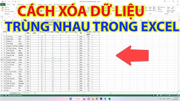 Cách Xóa Dữ Liệu Trùng Trong Excel