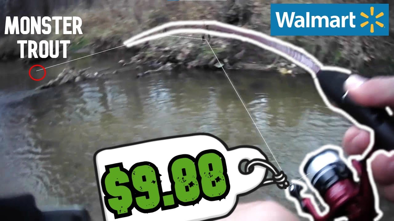 Cheapest SPINNING ROD at WALMART Hooks a Giant Trout (Zebco