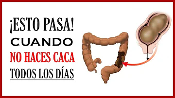 ¿Qué le pasa a tu cuerpo cuando no haces caca?