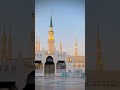 Nabi Karimﷺ, Mustafa Karimﷺ, #nabikarimﷺ #mstafakarimﷺ #lifeofmunnabhai #islami #masjidenabvi