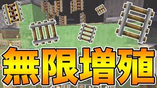 【ドズクラ】レールが無限に増える！チート級の『レール増殖機』が凄すぎたwww【マイクラPART38】【ドズぼん】