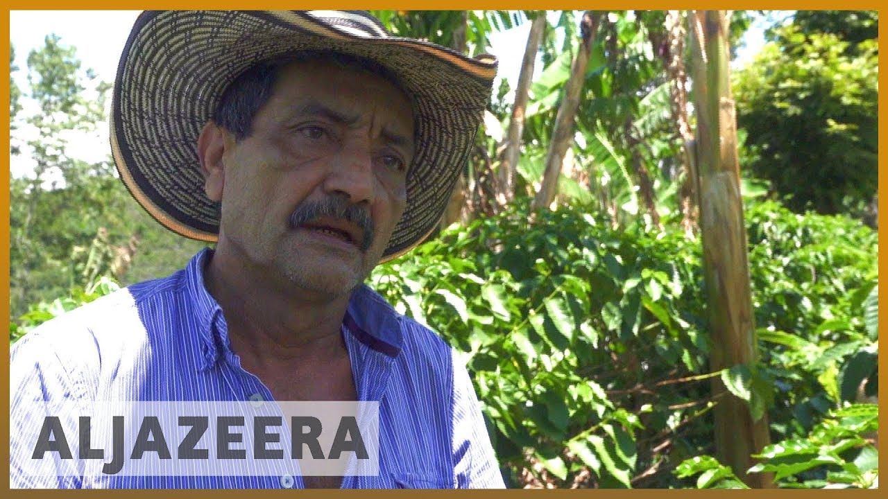 عمال البن في كولومبيا يائسون بسبب تدني الأجور | الجزيرة الإنجليزية