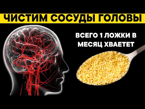 Чем почистить сосуды головного мозга в домашних условиях