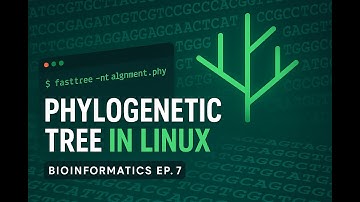 Phylogenetic Analysis on Bash | Tree Building from Terminal | Bioinformatics Ep. 7