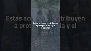 Familias araucanas afectadas por la ola invernal recibieron apoyo de ‎@sierracolenergy5010   ⬇🤝