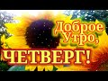 С Добрым Утром ЧЕТВЕРГ! Очень Красивое Пожелание ДОБРОГО УТРА ЧЕТВЕРГА!