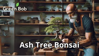 Styling a Young Ash Tree into a Bonsai