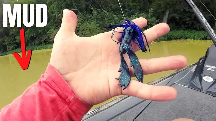 Catch GIANT Bass In MUDDY Water