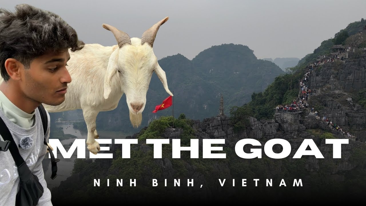 MET THE 🐐 IN NINH BINH