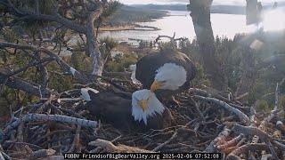 2-6-2025 Love And Care For The Precious Eggs…