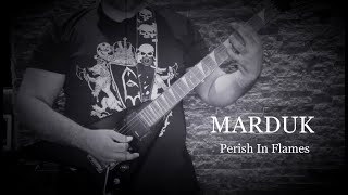 Perish In Flames - Guitar Play-through
